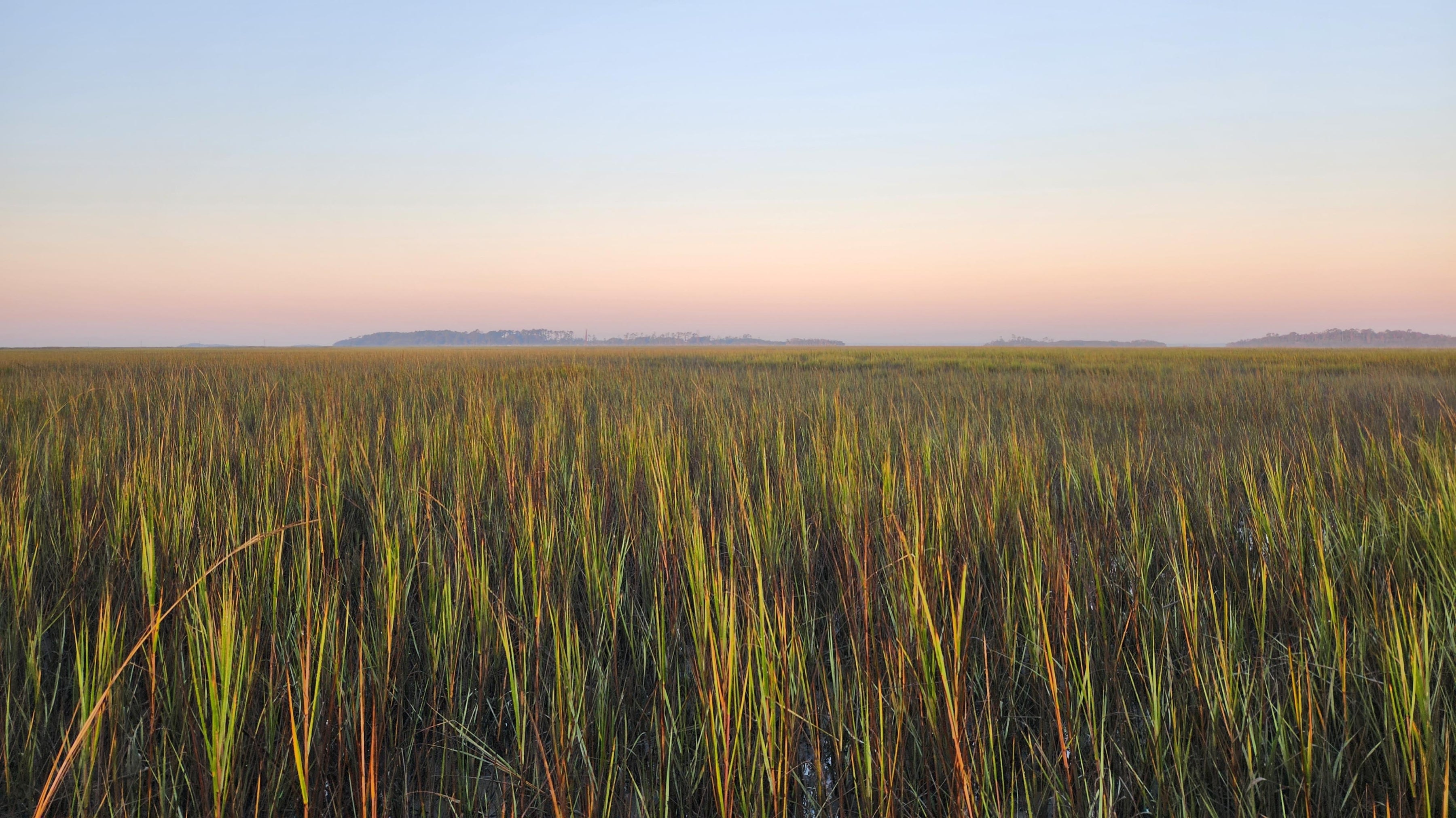 Sunrise over an expansive marsh along Barn Creek on Sapelo Island, Georgia during the winter of 2022. Existing satellite imagery that captures the above ground foliage like shown may not be the best measure of health for marsh systems. Credit Kyle Runion.