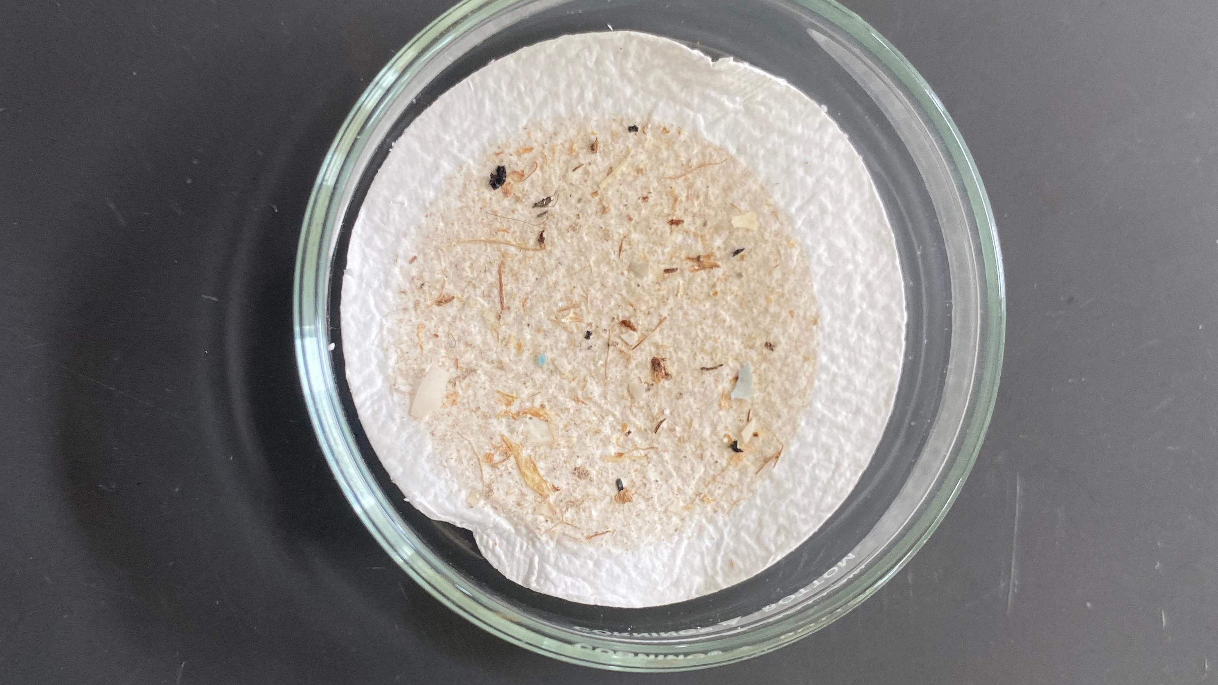 Microplastics