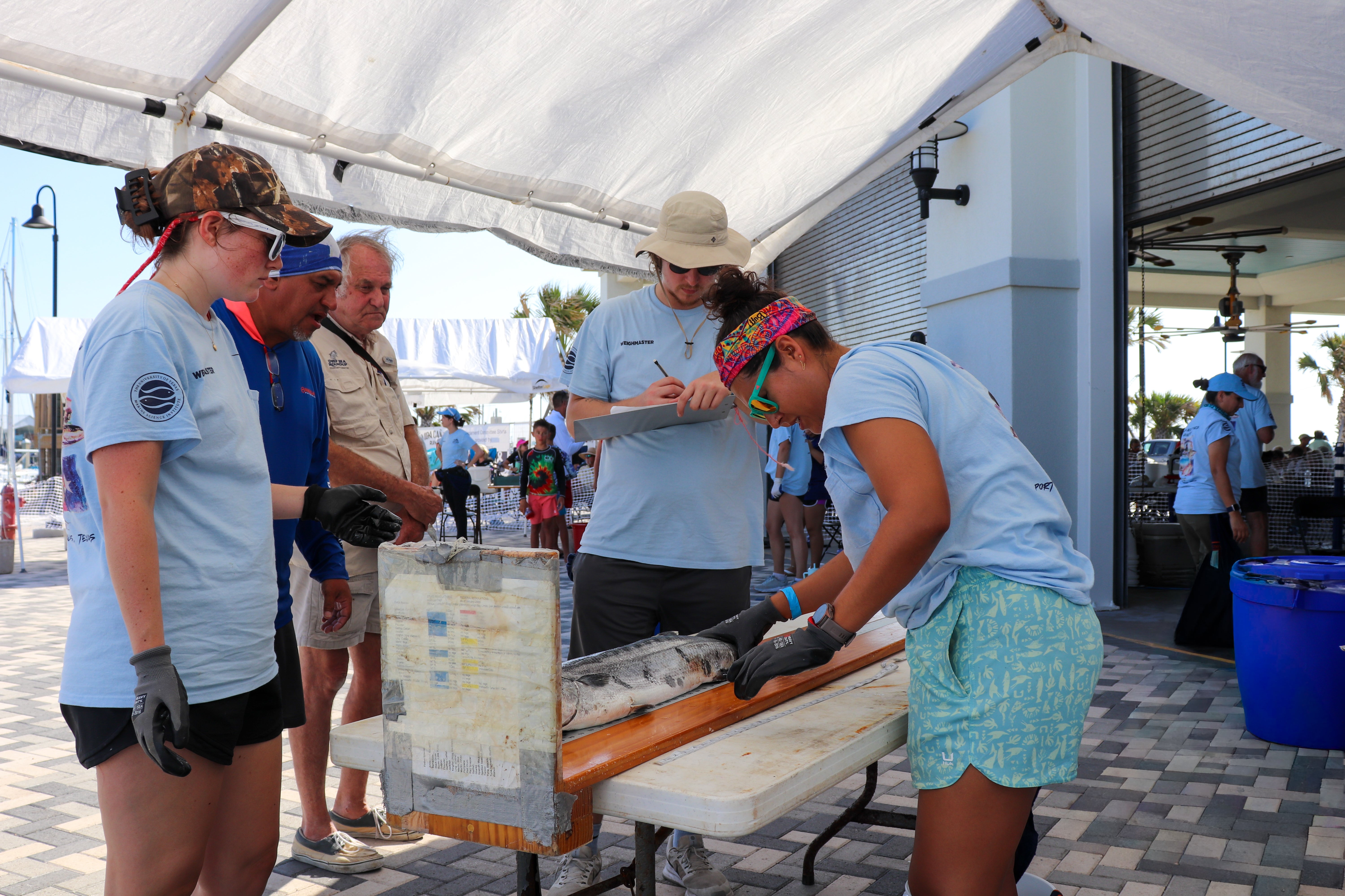 UTMSI researchers at the weigh in station