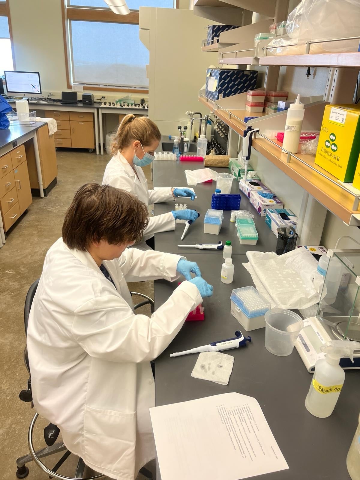 Lab work