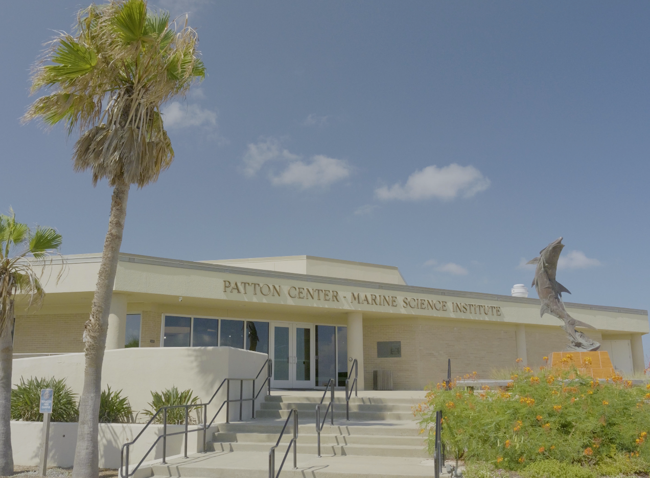 The Patton Center for Marine Science Education features eight large aquaria and engaging interactive displays that allow people of all ages to learn about the local marine life