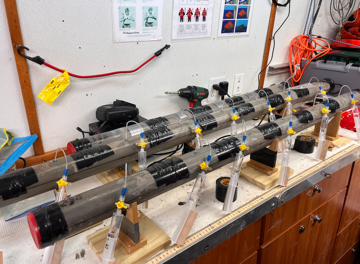 Core samples set up for laboratory experiments. 